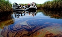 Floating Oil Bioremediation